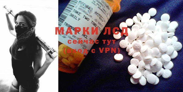 стаф Алексин