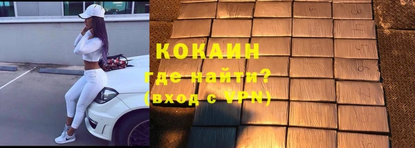 стаф Алексин