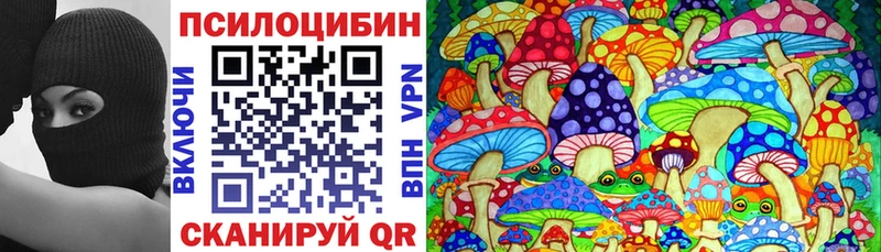 shop формула  Княгинино  Псилоцибиновые грибы GOLDEN TEACHER 